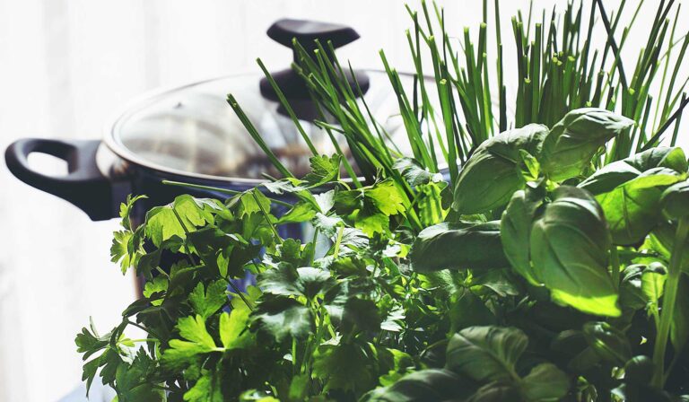 Faire son jardin d'herbes aromatiques