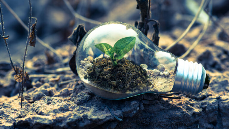 différence entre environnement et écologie